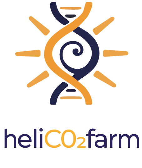 LOGO_CROP