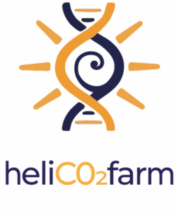 LOGO_CROP_V2