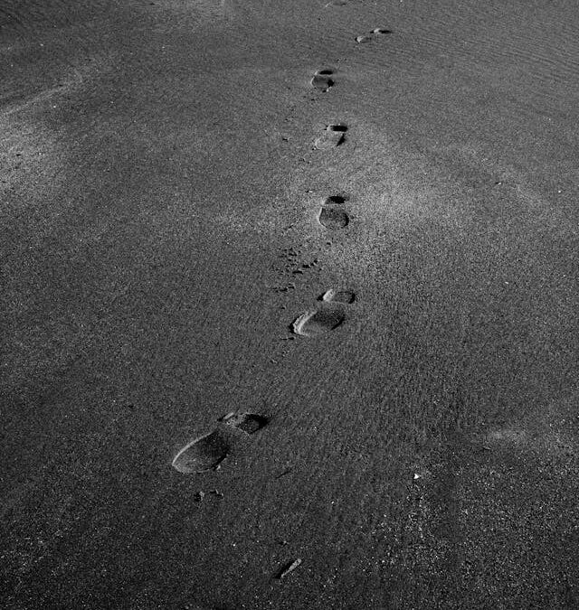 Tech Briefing: CDR Primer, el Manual Definitivo de la Eliminación de Carbono