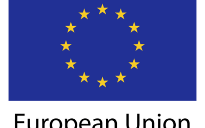 COMMISSION DELEGATED REGULATION (EU) 2026/285 on permanent carbon removal
