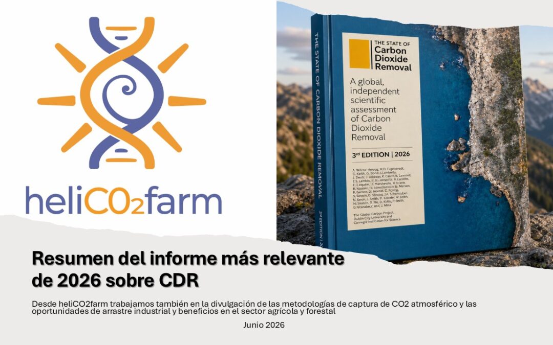 Hemos resumido el estudio más completo sobre CDR del mundo de 2026